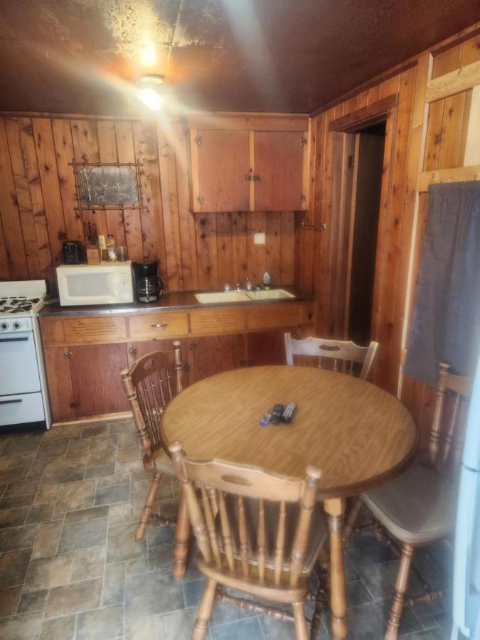 Cabin 2 Manistique Kültér fotó