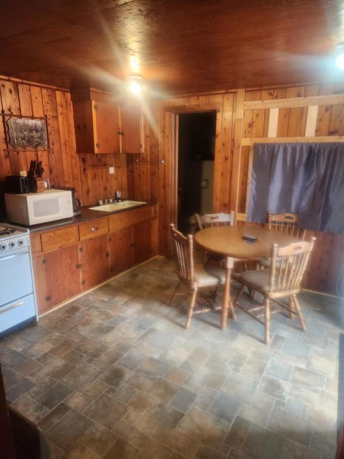Cabin 2 Manistique Kültér fotó